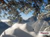 Widok na Tatry z Sokolicy