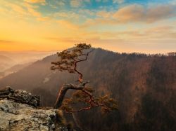 obrazy gór na płótnie