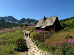 tatry