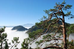 Widok z Czertezika - Pieniny