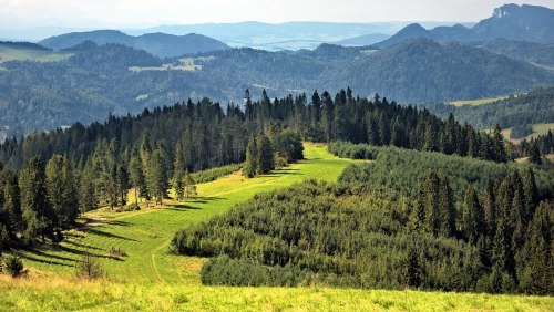 widok na góry